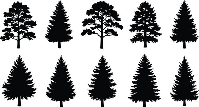 Set of Diverse Tree Silhouettes