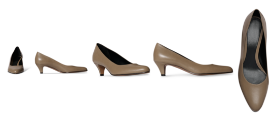 Set of Women Stylish high heel stiletto shoe , This fashion-forward women’s footwear features a pointed toe and short-thin heel all side view