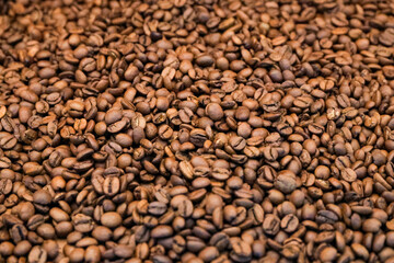 Coffee beans background in detail