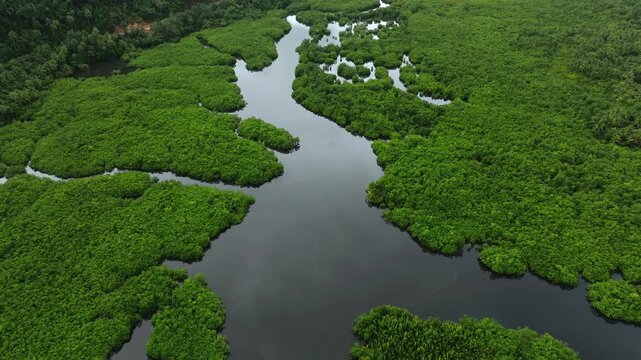 Aerial view of a winding river cutting through dense green forest with a beautiful pattern of light and dark tones, Siargao, Philippines.