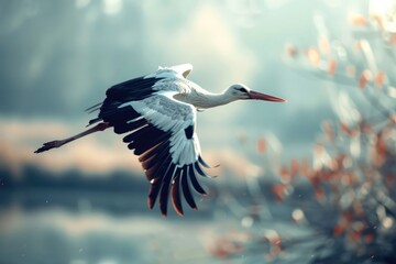 Obraz premium Graceful stork in flight