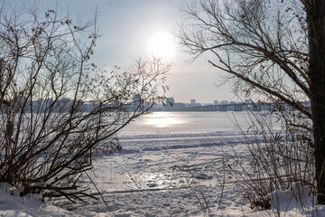 Snow-covered riverbank with bare tree branches in the foreground and a large city skyline across a wide frozen river. Bright winter day with sunlight, icy surface and calm urban winter landscape
