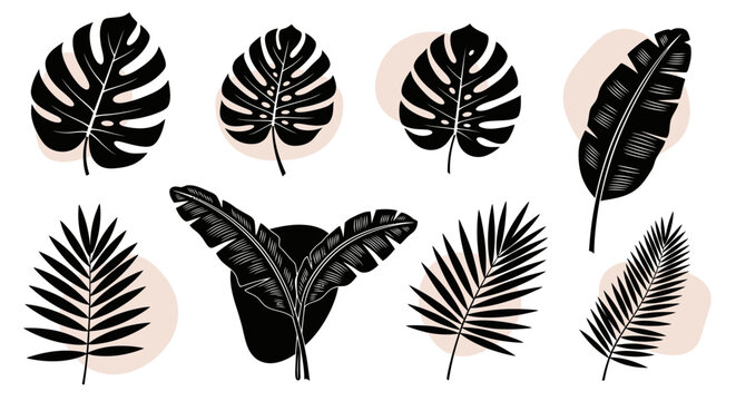 Collection of stylized black and white tropical leaves with beige abstract backgrounds