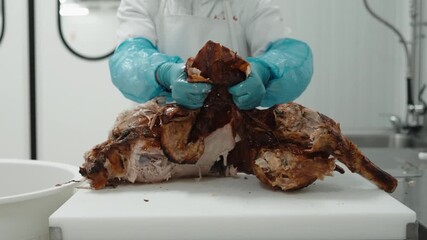 gloved hands tearing skin from roasted suckling pig