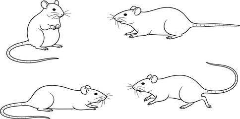Set of rat and mouse outline poses, hand drawn black and white rodent character illustrations for biology, education, infographic, mascot design