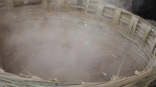 Exploring the Heart of the Forest  A Journey into the Wooden Depths