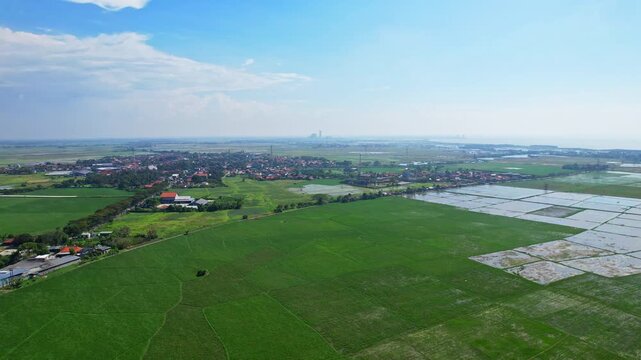 Aerial drone footage of Mauk area, in Tangerang regency, Java island, Indonesia, in a vast plain of green rice fields, some under waters, with many houses, in a sunny blue sky weather