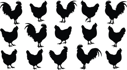 Chicken and rooster silhouettes set featuring farm poultry standing poses, black hen and cock vector illustration collection isolated on white background © MdAnower