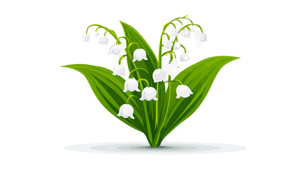 Illustration of lily of the valley flowers with green leaves on a white background