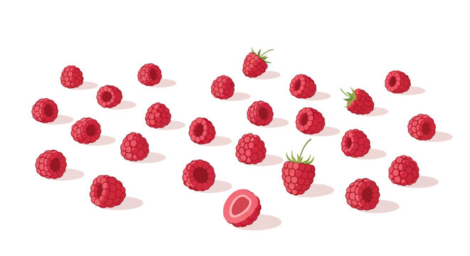 A scattering of ripe raspberries on a white background.