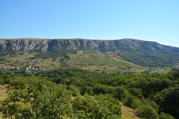 Fototapeta premium Lush green vineyards in the Baska Valley on the Island of Krk are surrounded by rocky mountains while the village Draga Bascanska is visible on the left