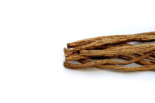 Dried brown Codonopsis root sticks used in Chinese herbal medicine.