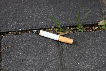Cigarette butts on the pavement.