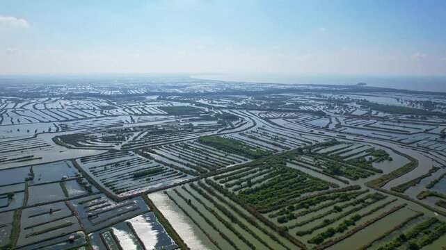Aerial drone footage of flat huge aquatic fish and seafood farms shaped in patterns, with green vegetations in between, nearby the sea, sunny weather, in Domas, Serang regency, Java island, Indonesia