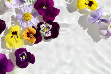 Beautiful flowers floating on clear water, sparkling in the sunlight.