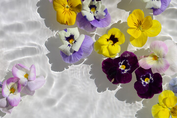 Beautiful flowers floating on clear water, sparkling in the sunlight.