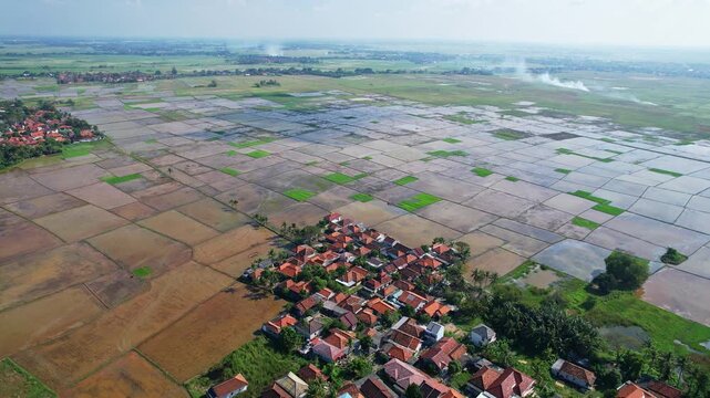 Aerial drone footage of a main brown and green wide rice fields, with mud and water, natural fish farms around, some local small villages, in Domas area, Serang regency, Java island, Indonesia
