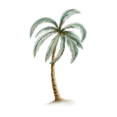 Obraz premium Palm tree in muted sea tones,evoking carefree vacations,pirate tales,desert island adventures.Watercolor illustration,textured fronds,for travel branding,tropical themes,storybook projects