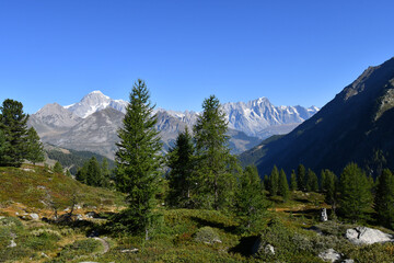 Obraz premium Il Monte Bianco e le Grand Jorasses visti salendo ai laghi di Bellacombe,sopra La thuille