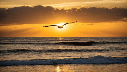 Seagull Flying Over Ocean at Sunset