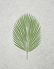 Eco-friendly green fingerprint shape symbolizing sustainability on textured light background