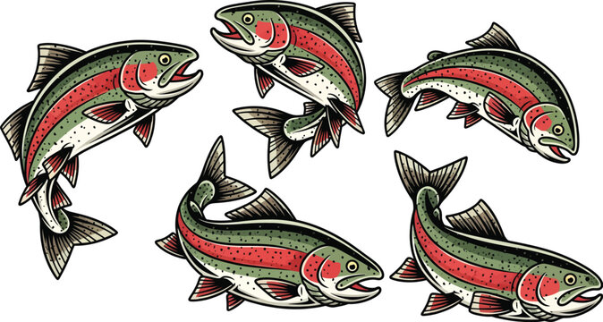 Vibrant collection of rainbow trout illustrations, showcasing dynamic jumping and swimming fish in a classic vintage style. Perfect for fishing enthusiasts.