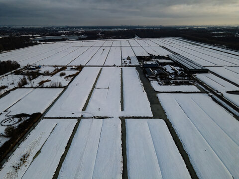 Aerial view of snow-covered fields creating a striking geometric pattern against the dark earth, Delft, South Holland, Netherlands.
