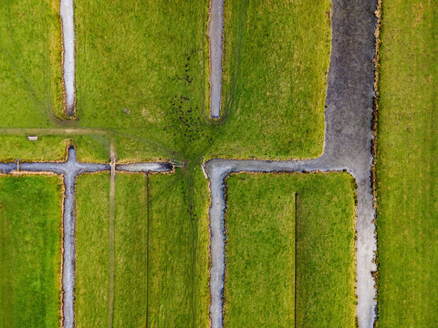Aerial view of geometric waterways cutting through vibrant green fields, creating a mesmerizing pattern of nature and design, Delft, South Holland, Netherlands.