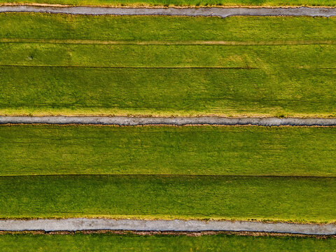 Aerial view of verdant fields intersected by narrow, grey pathways, creating a geometric tapestry from above, Delft, South Holland, Netherlands.