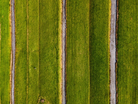 Aerial view of vibrant green fields divided by narrow pathways, creating a geometric tapestry of nature and design, Delft, South Holland, Netherlands.