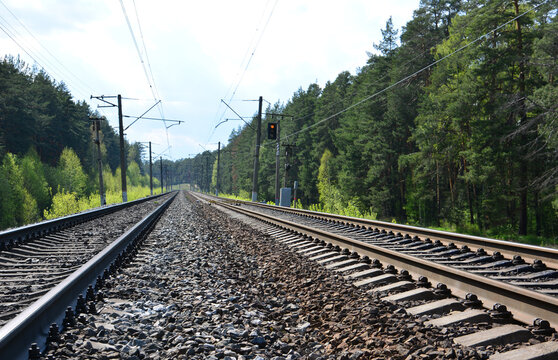 Parallel Railway Tracks Winding Through a Dense Green Forest low angle copy space