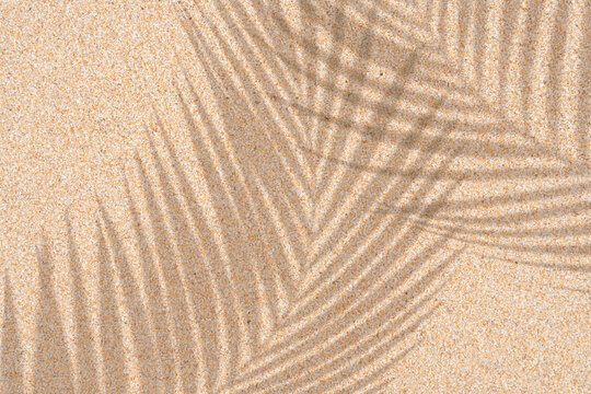 Beach sand surface with soft tropical palm leaf shadow,sunlight.Natural ripples of warm summer aesthetic,Top view tropical sea sand texture for summer vibes,travel branding, spa organic product mockup