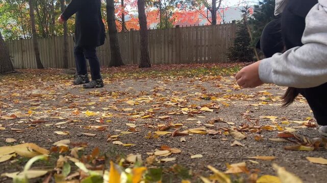 A playful squirrel scurries around a backyard, happily collecting snacks from a person during a colorful autumn afternoon.