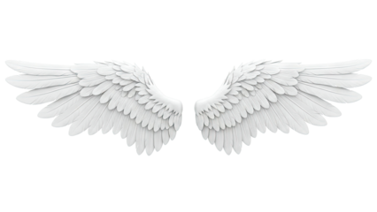 Pair of white angel wings on a plain background