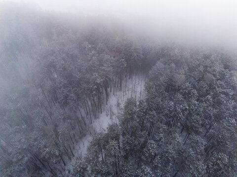 Aerial view of snow-laden forest, a winter wonderland where the landscape's stark beauty is softened by a blanket of white, Banska Bystrica, Banska Bystrica Region, Slovakia.