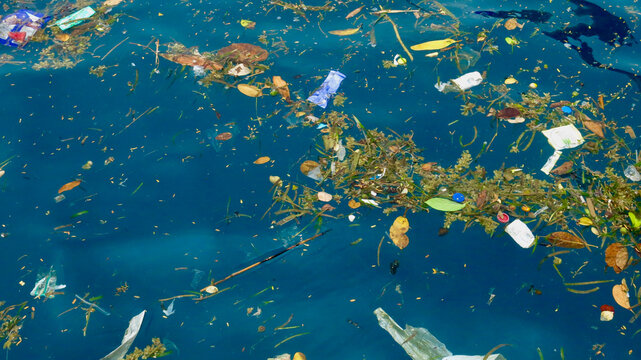 Floating trash and organic debris on blue ocean surface. Marine pollution scene showing plastic waste, leaves, and litter spreading across calm tropical seawater.