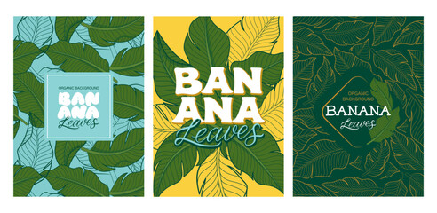 Tropical set. Banana Leaves Posters with Botanical Patterns, and Logo Designs for Packaging, etc