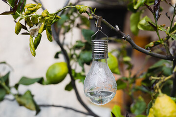 A light bulb on a tree branch in the garden full of water after rain - outdoor lighting