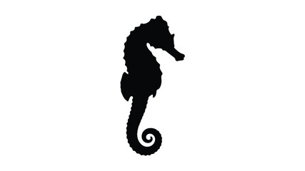a striking black seahorse silhouette against a clean white background © asma