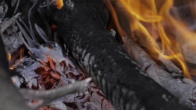 Burning Withered Bones  A Flames Endless Whisper