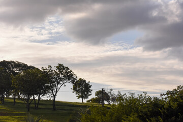 Obraz premium sunset in park