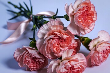 A  delicate pink carnations