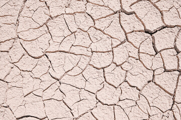Fototapeta premium Close-up of dry, cracked earth. The perfect backdrop to showcase the texture and effects of drought or climate change. 
