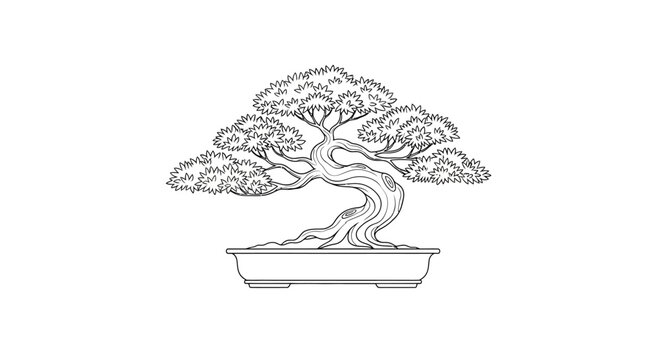 Bonsai Tree Illustration in Pot.