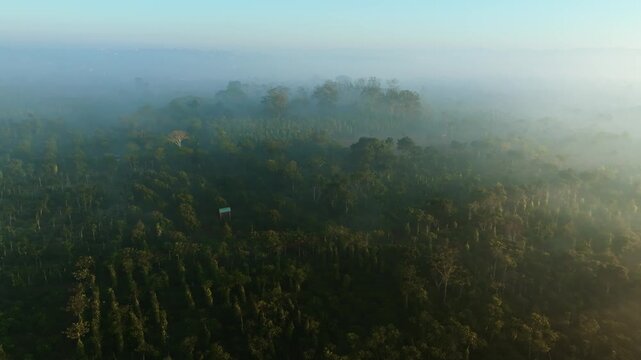Cinematic Misty Morning Aerial of Rural Coffee Highlands in Krong Nang, Vietnam
4K drone sequence gliding over the fog-covered valleys of Dak Lak. morning mist blankets the lush coffee and pepper plan