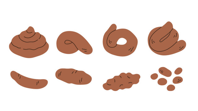 A cartoon illustration of various types of feces in different shapes and sizes on a white background