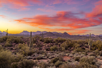 The Superstition Mountains of Mesa, Arizona © dennis