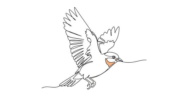 Simple Line Drawing of a Bird in Flight.