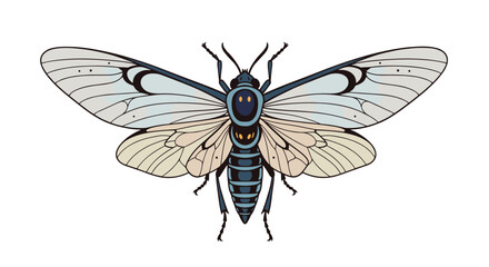 Beautifully detailed illustration of a cicada insect with spread wings showing intricate patterns in shades of blue and cream.