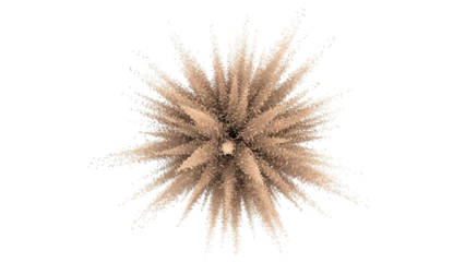 Explosion of tan particles against a white background